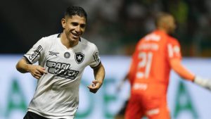 A qué hora juegan y qué canal transmite Atlético Mineiro vs. Botafogo hoy: TV y streaming on-line para ver la remaining de la Libertadores 2024 | Wearing News Spain