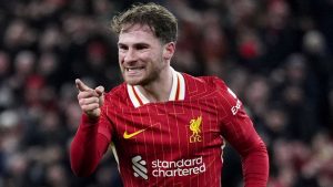 Liverpool 2-0 Newcastle: Rojos 13 Capacidades particular