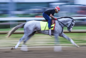 2025 Bolas más prácticas de Kentucky Derby: altas selecciones, probabilidades y predicciones profesionales
