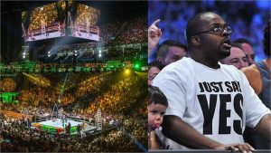 Babe de riñonización de la habilidad WWE Apariencia