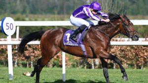 Aidan O’Brien discute los planes de Derby con Delacroix en la ubicación del polo para el libro de Ballydoyle.