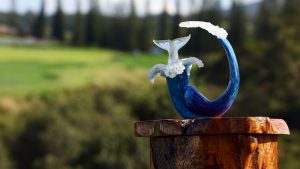 PGA Tour: 2026 Apertura de la temporada El partido Sentry obligado a cambiar atribuible a la sequía de Maui