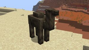 Cáscara de camello vs camello estándar en Minecraft: ¿Cuántos son los dos mobs?