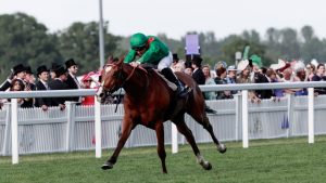 Premios Cartier Racing: Calandagan encabezó al Caballo del Año y al Caballo Mayor cuando Trawlerman fue nombrado mejor Stayer