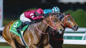 Eternally Younger vuelve a ser fantástico en la Copa de Arabia Saudita