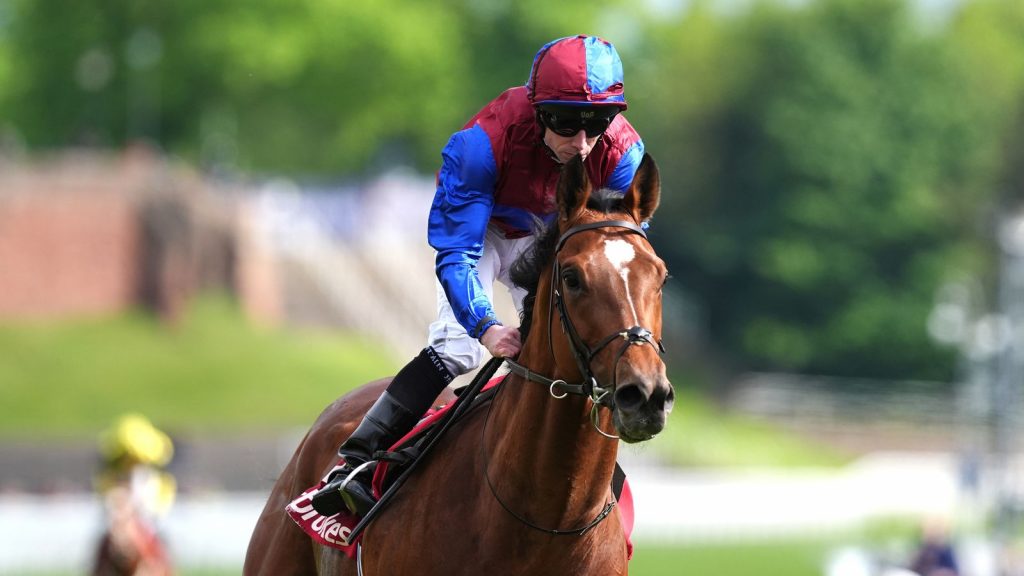 Chester podría ser el festival: Ryan Moore y Aidan O’Brien continúan dominando mientras Jan Brueghel se lleva el Ormonde Stakes