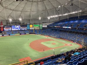 Los Rays tropiezan mientras los Angelinos se elevan hacia la victoria 14-3